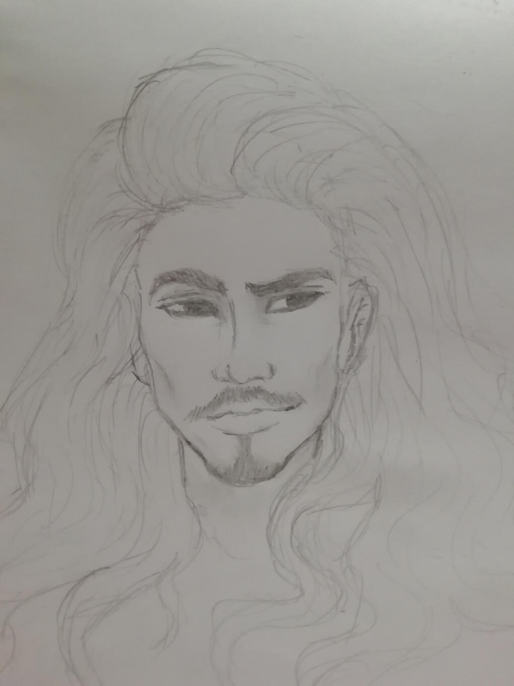A portret sketch of Lord Deminas. Long hair, moustache and goatee.