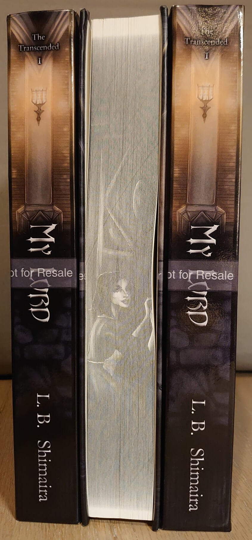 A photo showcasing the spines of 3 My Lord books, with the middle one turned to show the printed edge.